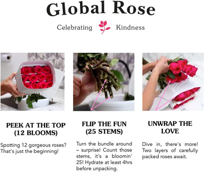 Premium Long-Stem Pink Rose Collection