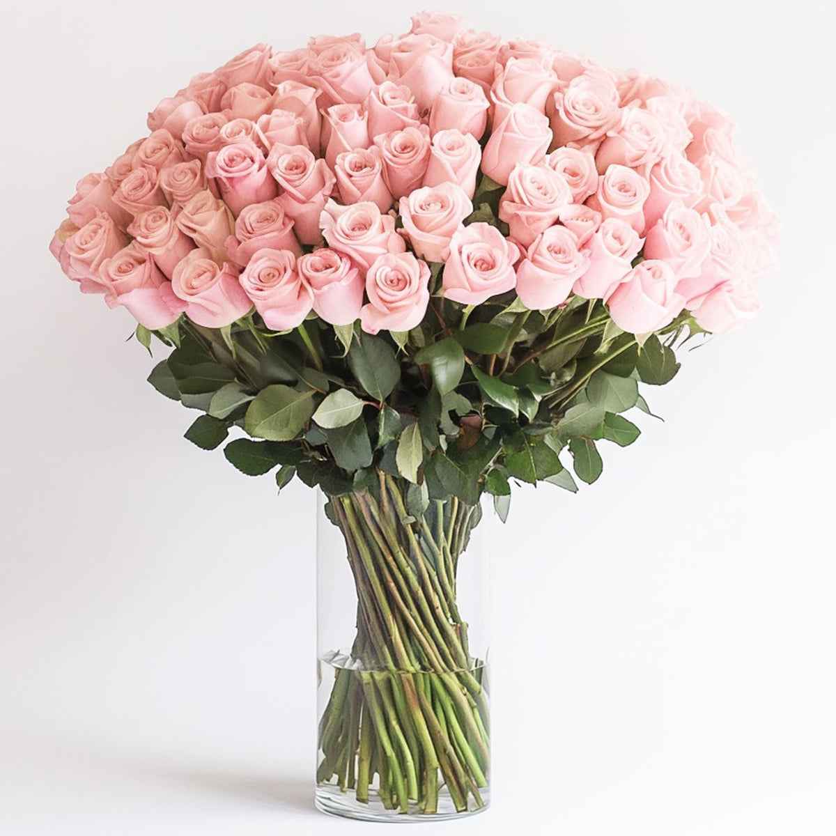 Premium Long-Stem Pink Rose Collection