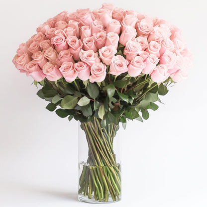 Premium Long-Stem Pink Rose Collection