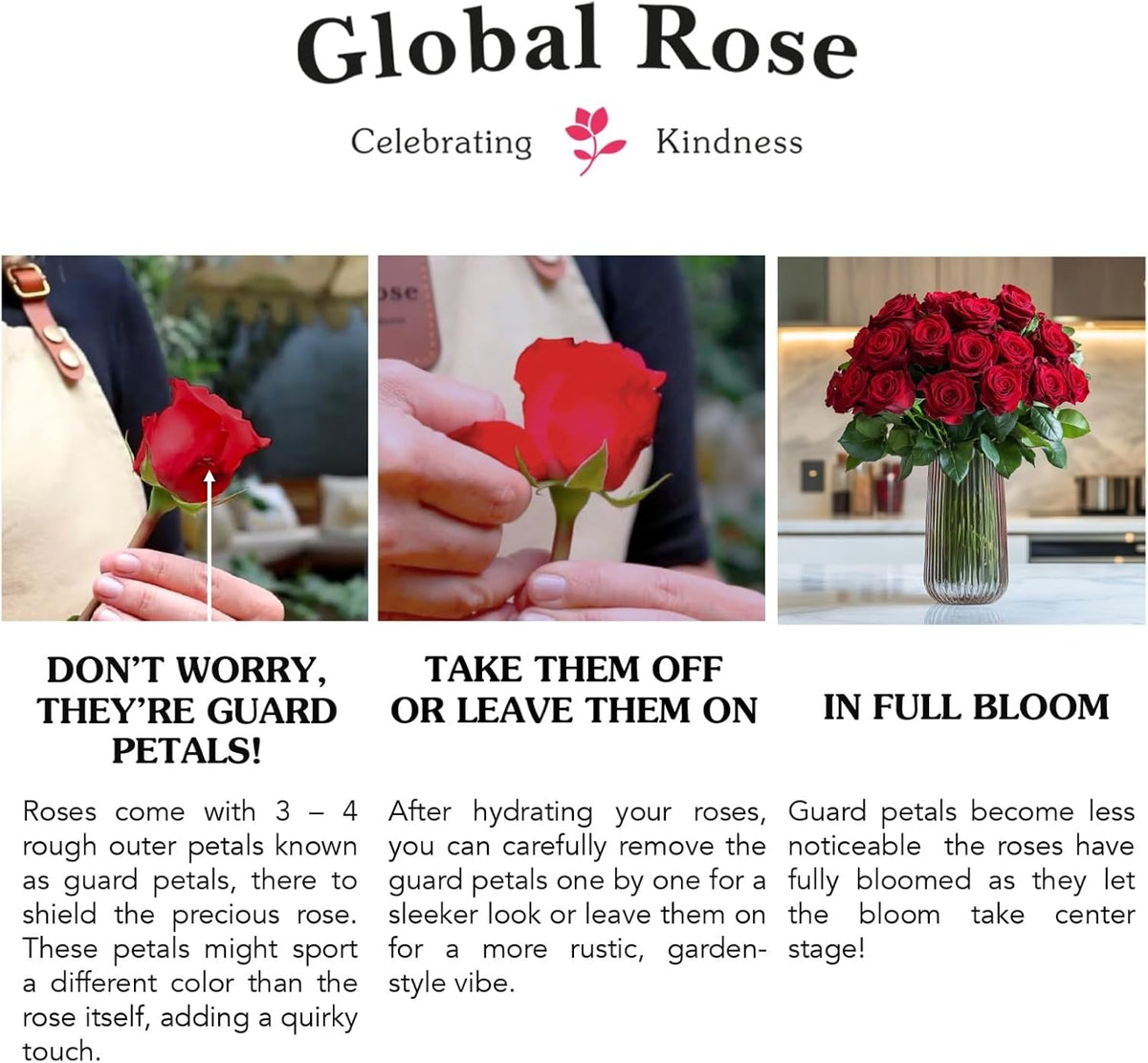 Premium Long-Stem Pink Rose Collection