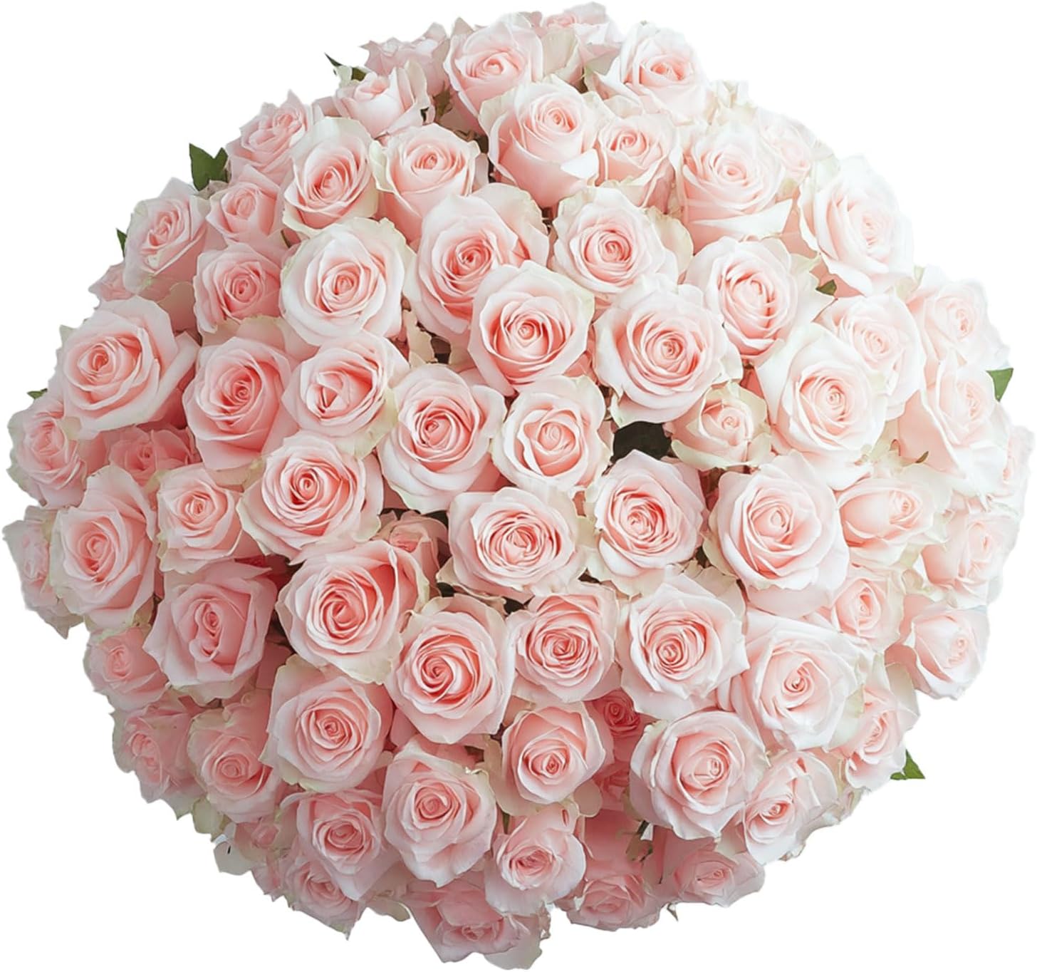 Premium Long-Stem Pink Rose Collection